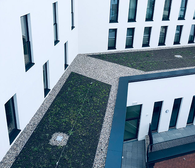 DALGA BAU GmbH